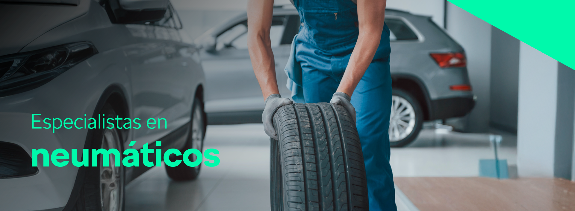 Especialistas en neumaticos